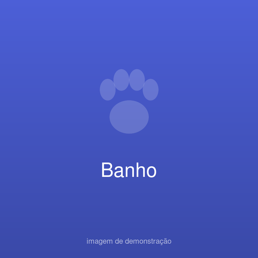 Patinha Feliz Demo (fictício) — foto do estabelecimento