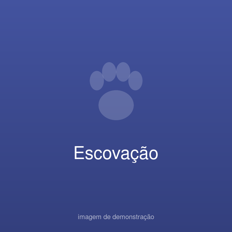 Patinha Feliz Demo (fictício) — foto do estabelecimento