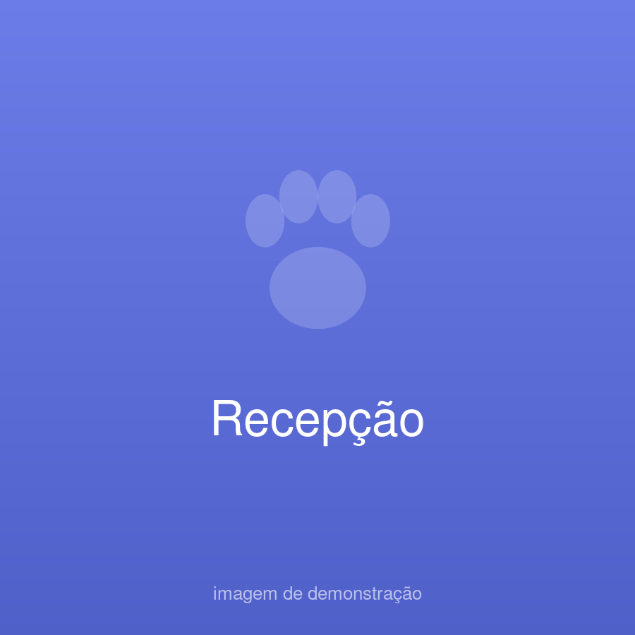 Patinha Feliz Demo (fictício) — foto do estabelecimento