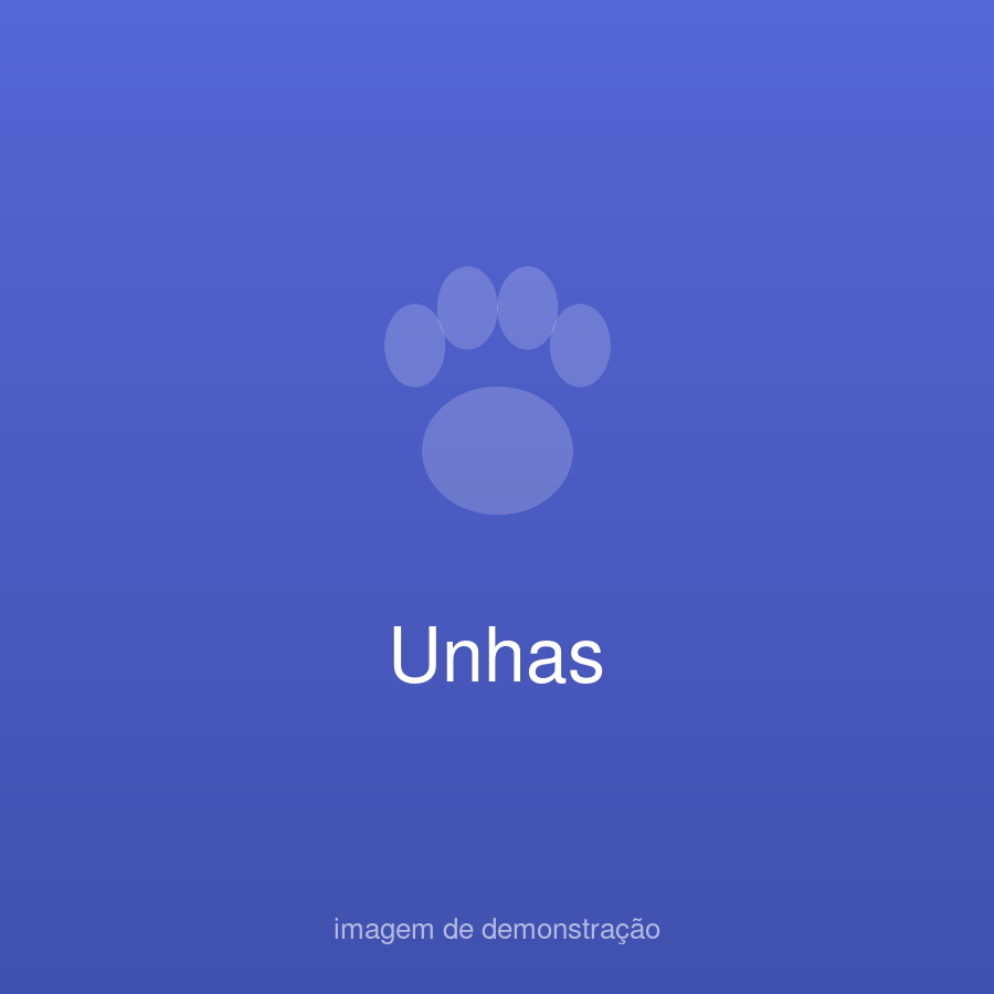 Patinha Feliz Demo (fictício) — foto do estabelecimento
