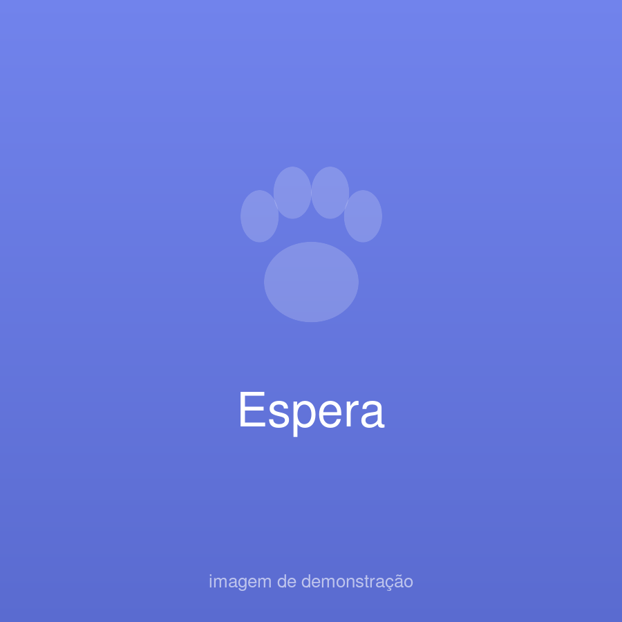 Patinha Feliz Demo (fictício) — foto do estabelecimento