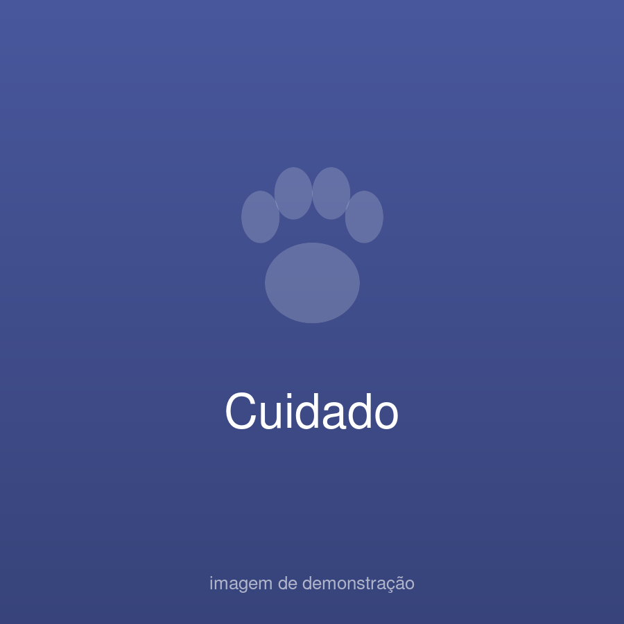 Patinha Feliz Demo (fictício) — foto do estabelecimento