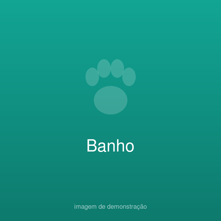 Focinho Fictício Demo