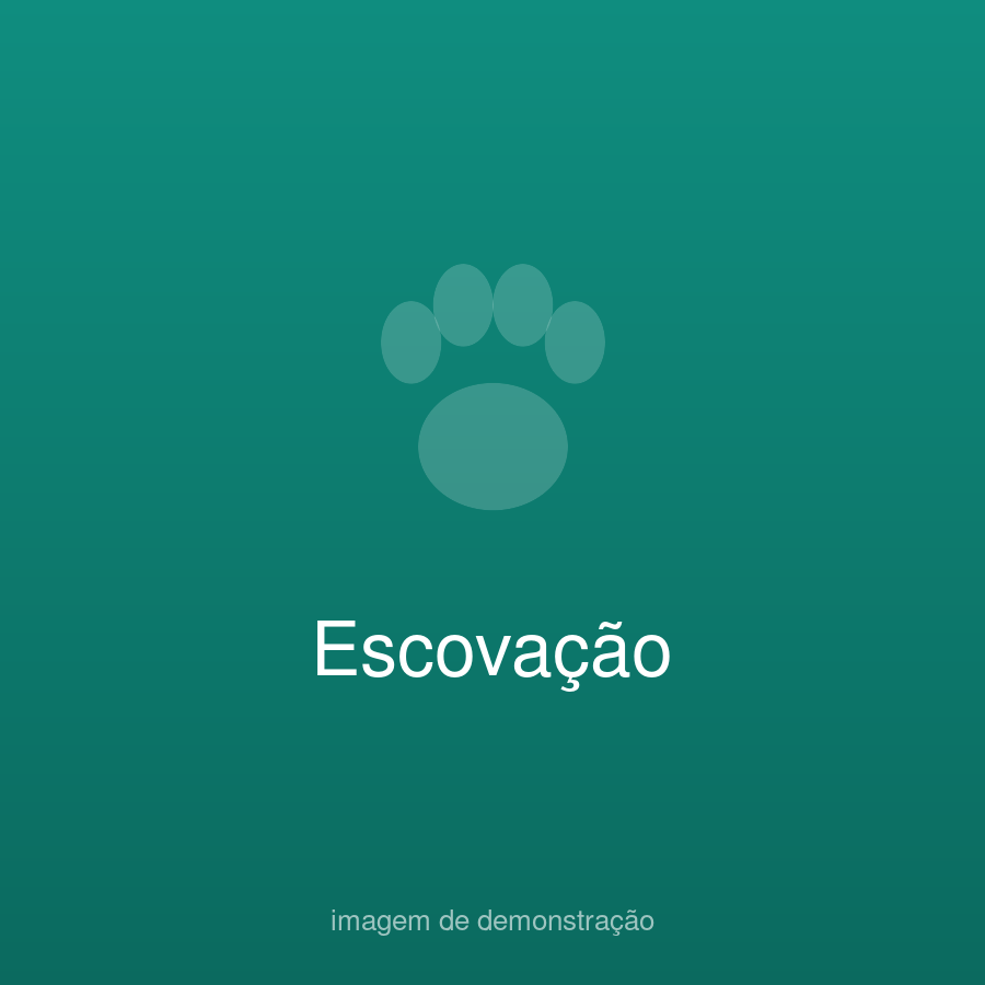 Trabalho 3