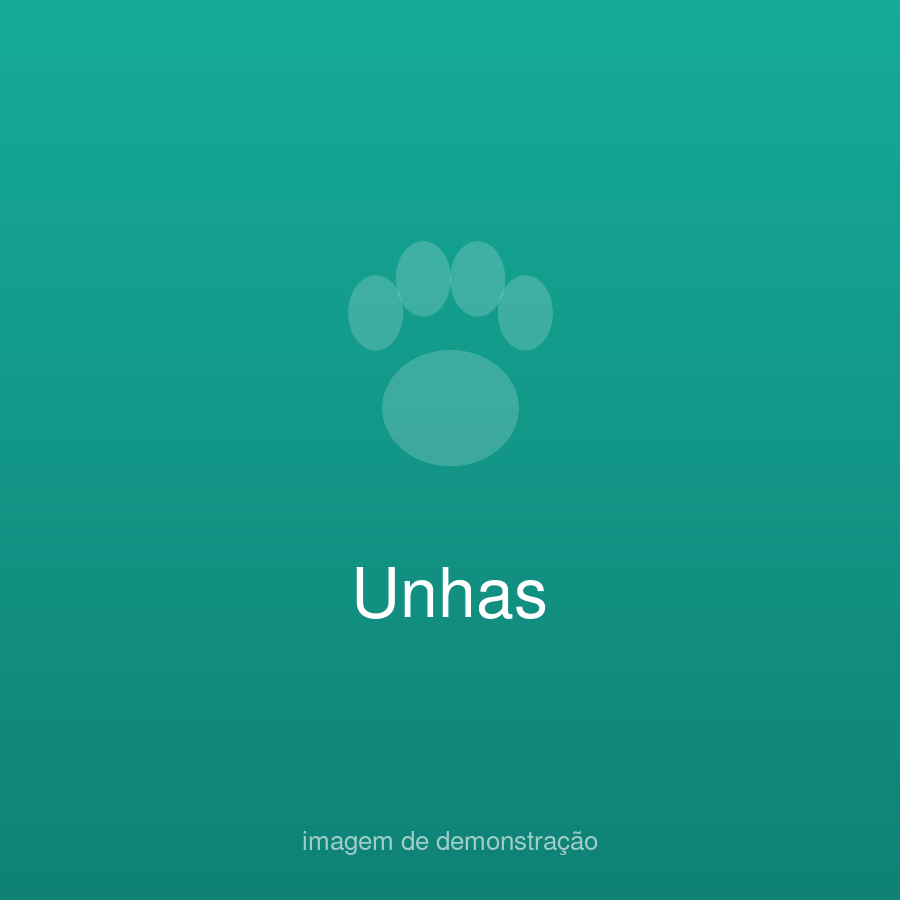 Trabalho 6